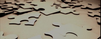 aDSCN7156